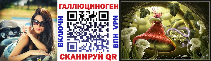 Псилоцибиновые грибы Magic Shrooms где можно купить наркотик блэк спрут зеркало Салаир